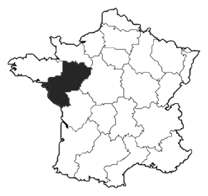Mappa Loira